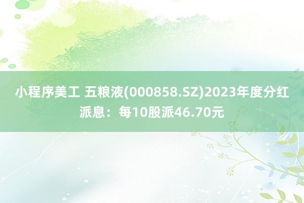 小程序美工 五粮液(000858.SZ)2023年度分红派息：每10股派46.70元